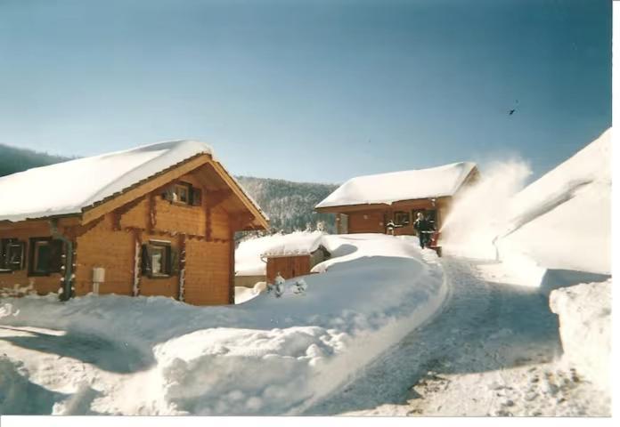 Le "Chalet De Minette" 2 Etoiles Ла-Бресс Экстерьер фото