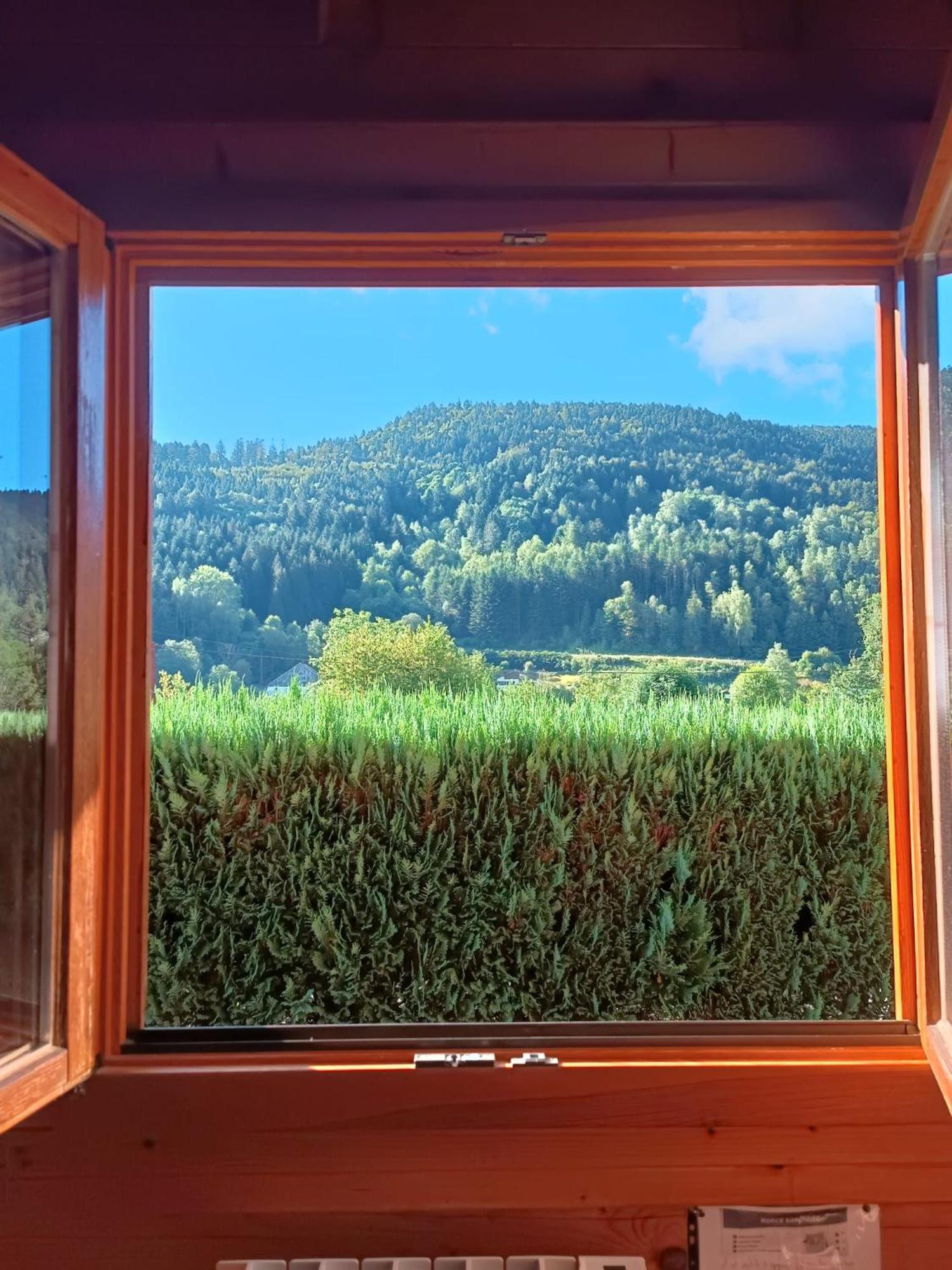 Le "Chalet De Minette" 2 Etoiles Ла-Бресс Экстерьер фото